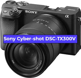 Ремонт фотоаппарата Sony Cyber-shot DSC-TX300V в Санкт-Петербурге